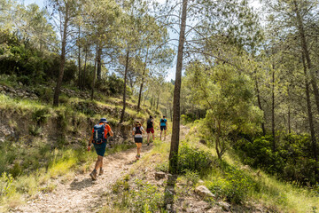 hiking in the mountains