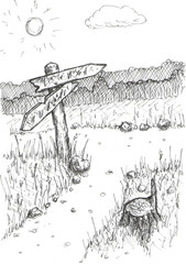 wooden signs at the crossroads against the backdrop of the forest