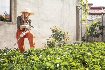 senior female gardener 60 years old  in abandoned backyard. Blond serene woman working planting flowers in garden at summer time. Gardening, hobby, leisure concept.