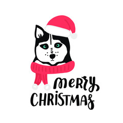 Christmas husky dog face. Cute cartoon illustration with hand lettering dog lovers quotes Merry Christmas. Holidays design elment for greeting cards, stickers, t shirt, poster.
