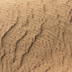 Namibia, the Namib desert, dunes