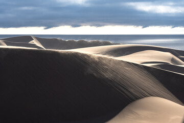 Namibia, the Namib desert, landscape of yellow dunes falling into the sea, the wind blowing on the sand
