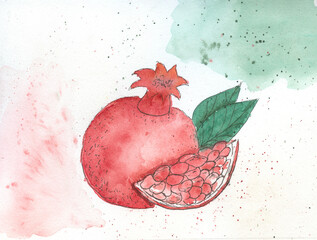 pomegranate  opened watercolor on background