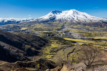  partially  snow capped St. Mt. Helens volcano and lush green valley below under a clear  blue sky during spring in Washington state.  © Nathaniel Gonzales