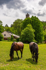 Stara Lubovna castle on hill top ,Slovakia Republic