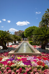 flower beds in the center of Elche Spain