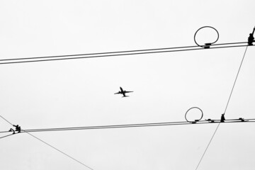 Samolot pomiędzy liniami elektrycznymi