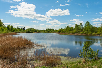 A blue lake with shores overgrown with grass and shrubs. Nature landscape background on spring day with cloudy sky