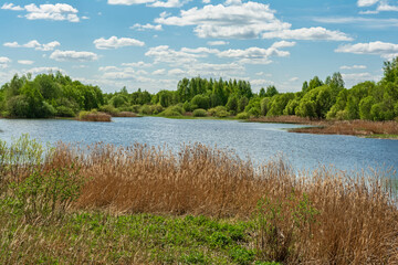 Obraz premium A blue lake with shores overgrown with grass and shrubs. Nature landscape background on spring day with cloudy sky