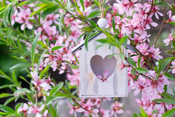 Birdhouse in spring among pink blossom