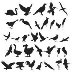 Bird collection - vector silhouette.