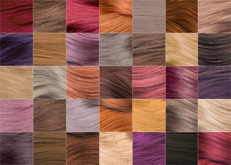 Hair color palette as background. Collage design