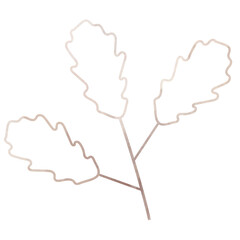 Watercolor leaves of houseplants. Beautiful Texture.