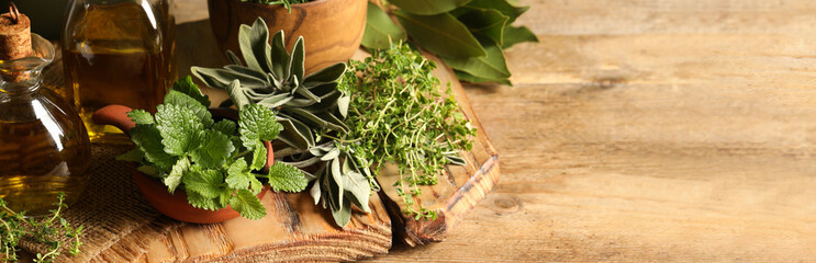 Different fresh herbs with oils on wooden table, space for text. Banner design