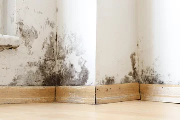 Poster Damp buildings damaged by black mold and fungus, dampness or water. infiltration, insulation and mold problems in the wall of the house © Bigy