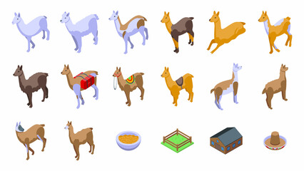 Lama icons set isometric vector. Animal alpaca. Bolivia hoof - obrazy, fototapety, plakaty