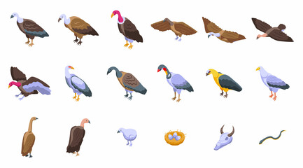 Vulture icons set isometric vector. Bird animal. Africa prey