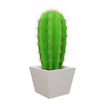 Cactus Saguaro picture. 3d rendering.
