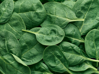 Spinach leaves, background close up top view, healthy eating