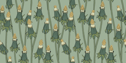 Pattern with unopened dandelion. Dried flowers vintage illustration - obrazy, fototapety, plakaty
