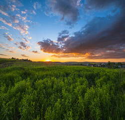 Naklejka na ściany i meble Summer countryside meadow, cloudy evening sunset sky, rural hills, village and fields in far.