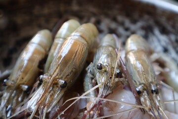Selectively focused shrimps ready to be cleaned for cooking.