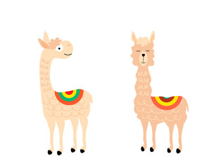 Print with two llamas. For holidays, cards and invitations, covers and brochures, prints for children, interior design, packaging and fabrics. Vector illustration.