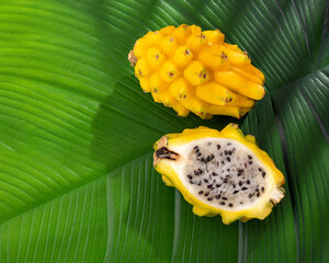 Selenicereus megalanthus - Fresh yellow pitahaya tropical fruit