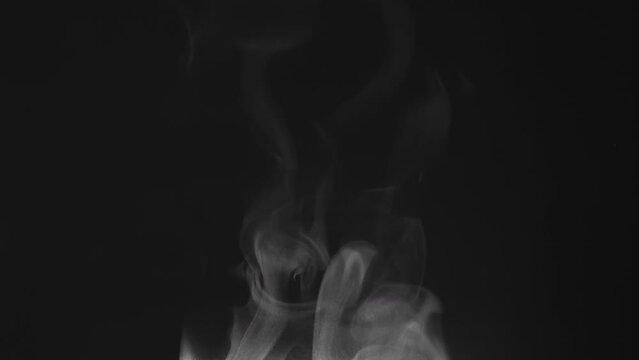 Steam Escaping from a Hot Drink. White steam rises light, graceful twists on a black background. The jet lifted out of the cup of hot water. Footage is perfect for the top layer with different blendin