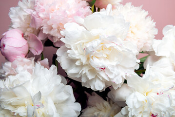 Amazing Fresh bunch of white and pink peonies