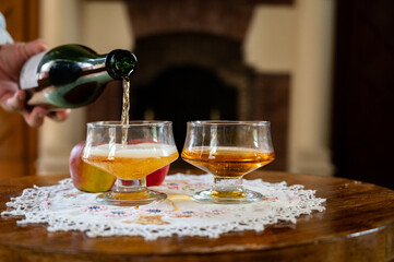 Pouring of apple cider drink in glasses in old french house with fireplace on background, Normandy, France
