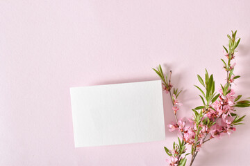 The layout is made of a white sheet of paper and a delicate branch of pink flowers on a pastel pink background.