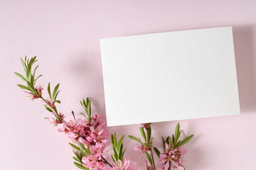 The layout is made of a white sheet of paper and a delicate branch of pink flowers on a pastel pink background.