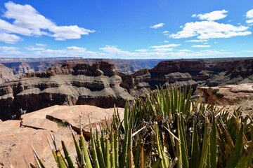 grand canyon national park