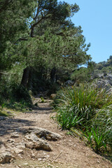 Wanderung auf Mallorca durch das Tramuntana Gebirge auf dem Fernwanderweg GR 221 Ruta de Pedra en...