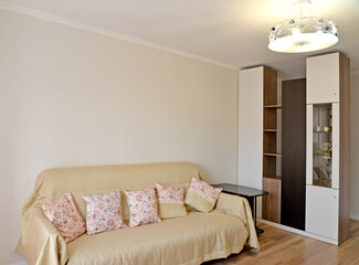 Sofa and wardrobe in the living room. Modern interior