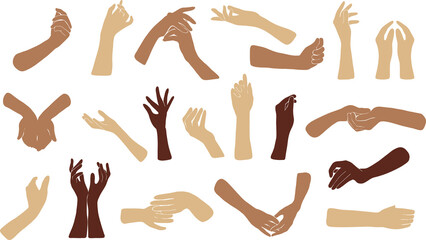 Women hands diversity. Elegant female arms of different gestures touch or hold something pose collection.