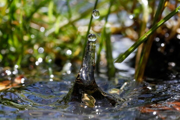 Macro of water droplets