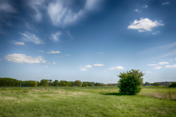 The perfect landscape of fields in a sunny day with perfect clouds in the sky