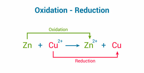 redox reaction. oxidation and reduction reactions. vector illustration isolated on white background.