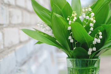 lily of the valley