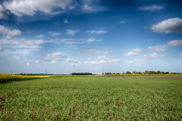 The perfect landscape of fields in a sunny day with perfect clouds in the sky
