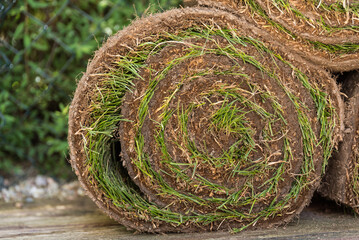 Rollrasen für Gartengestaltung