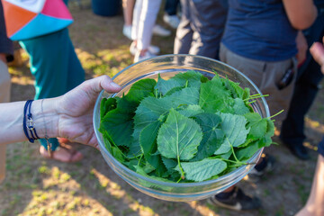 Feuilles de tilleul comestibles dans un bol en verre