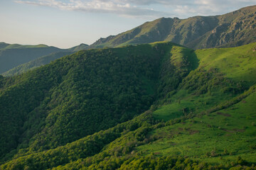 Obraz premium mountain and forest landscape in summer