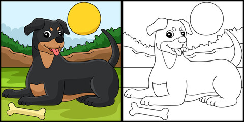 Rottweiler Dog Coloring Page Colored Illustration
