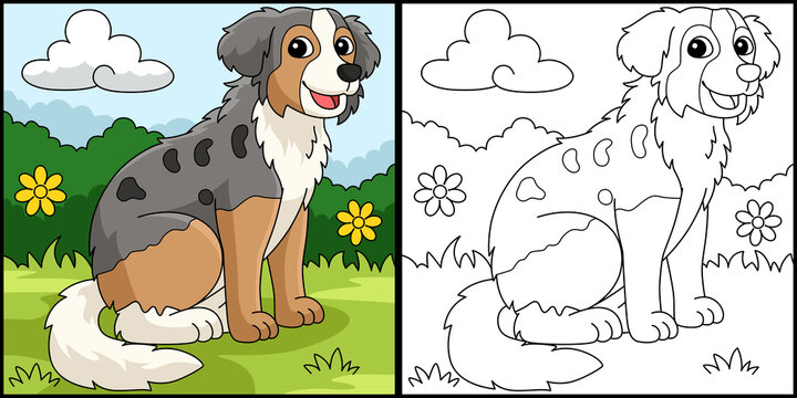 Australian Shepherd Dog Coloring Page Illustration