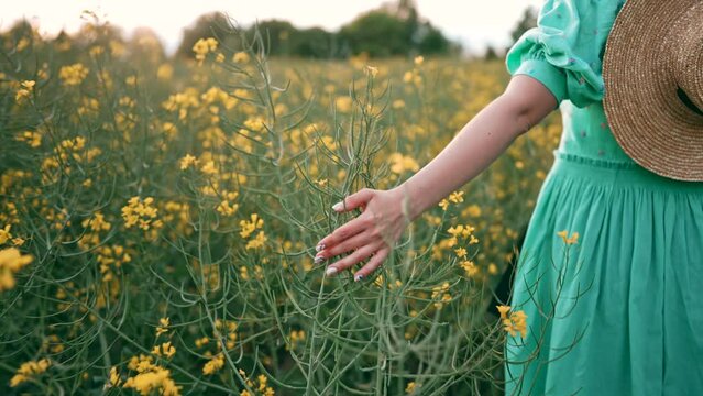 Female hand touching yellow canola flowers in beautiful field at natural light. Meadow with blooming rapeseed plants. Floral, alternative energy sources, agricultural concept.