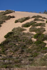 path in the mountains