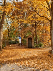 autumn in the city